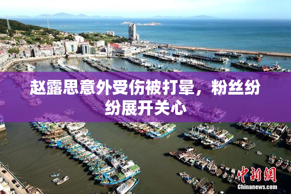 赵露思意外受伤被打晕，粉丝纷纷展开关心