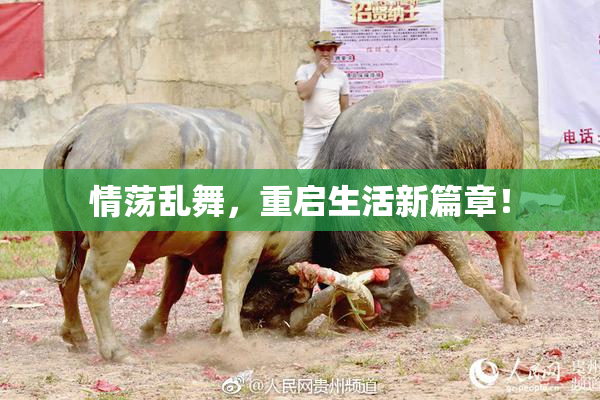 情荡乱舞，重启生活新篇章！
