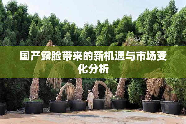 国产露脸带来的新机遇与市场变化分析