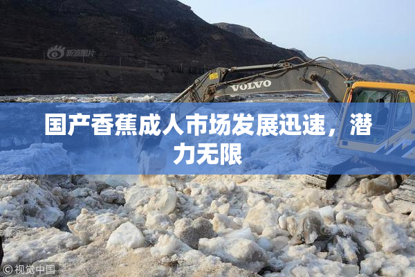 国产香蕉成人市场发展迅速，潜力无限