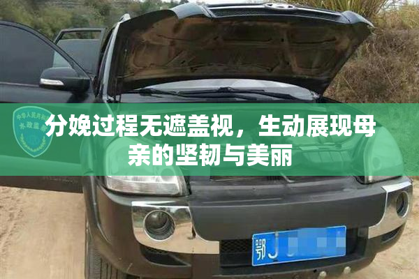 分娩过程无遮盖视，生动展现母亲的坚韧与美丽