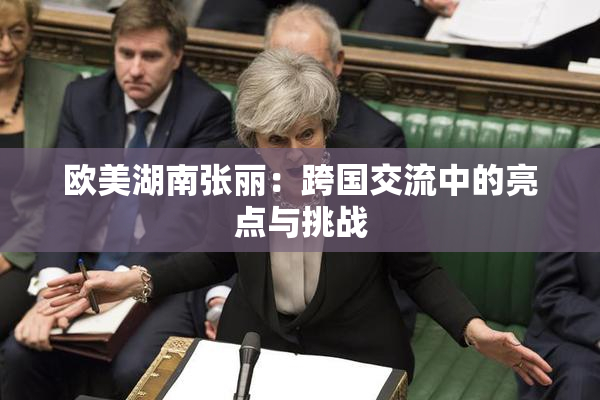 欧美湖南张丽：跨国交流中的亮点与挑战