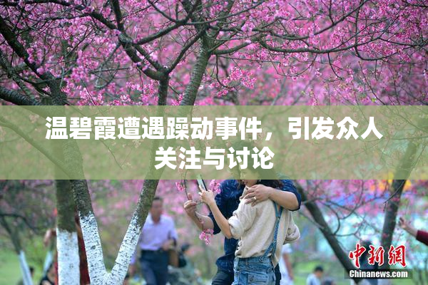 温碧霞遭遇躁动事件，引发众人关注与讨论