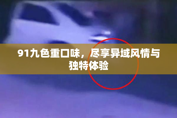 91九色重口味，尽享异域风情与独特体验