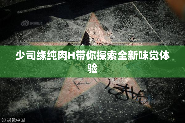 少司缘纯肉H带你探索全新味觉体验