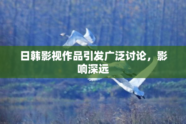 日韩影视作品引发广泛讨论，影响深远