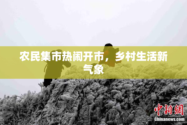 农民集市热闹开市，乡村生活新气象