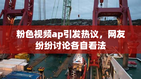 粉色视频ap引发热议，网友纷纷讨论各自看法