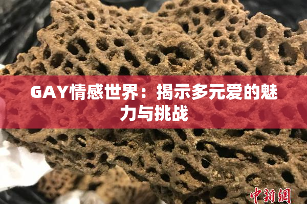 GAY情感世界：揭示多元爱的魅力与挑战