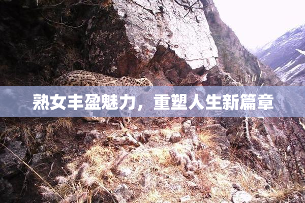 熟女丰盈魅力，重塑人生新篇章