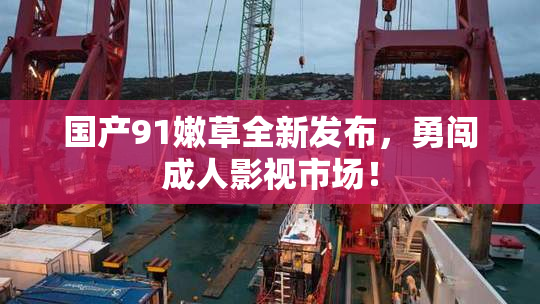 国产91嫩草全新发布，勇闯成人影视市场！