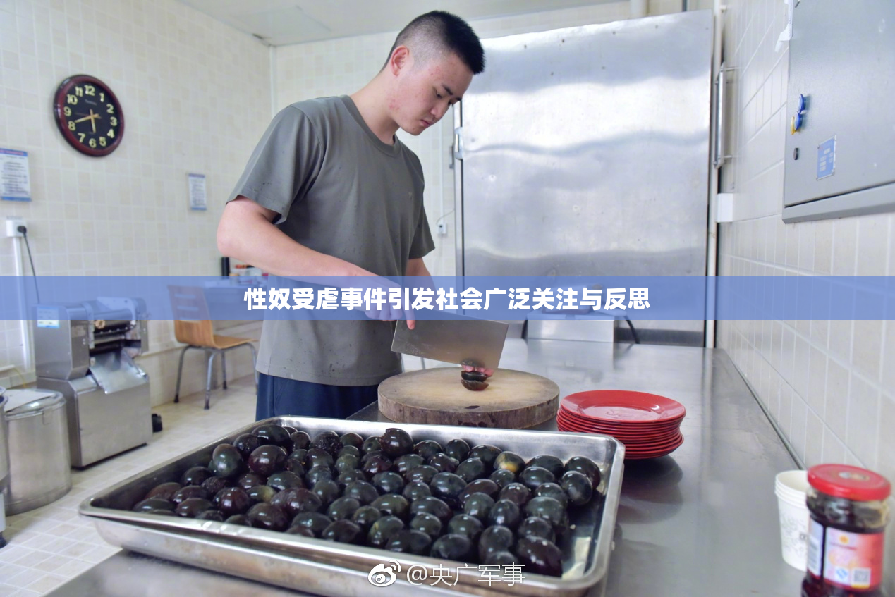性奴受虐事件引发社会广泛关注与反思
