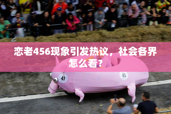 恋老456现象引发热议，社会各界怎么看？