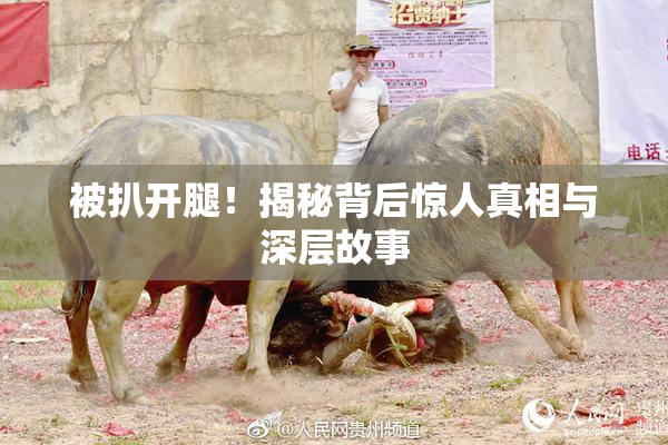 被扒开腿！揭秘背后惊人真相与深层故事