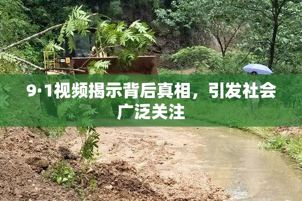 9·1视频揭示背后真相，引发社会广泛关注