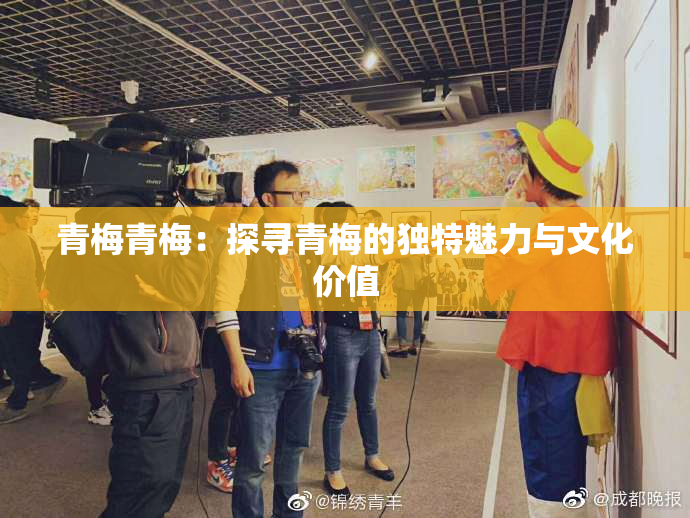青梅青梅：探寻青梅的独特魅力与文化价值