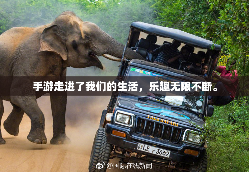 手游走进了我们的生活，乐趣无限不断。