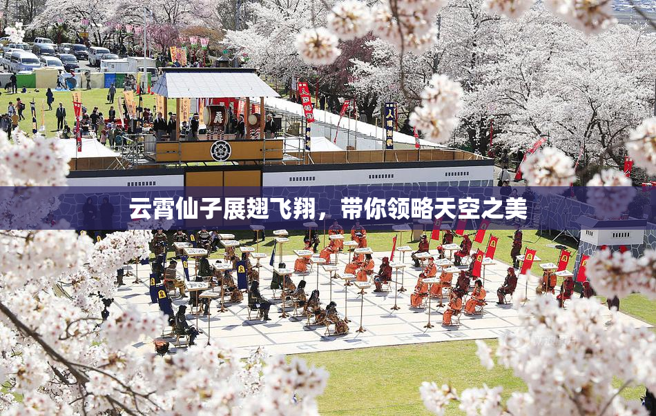 云霄仙子展翅飞翔，带你领略天空之美