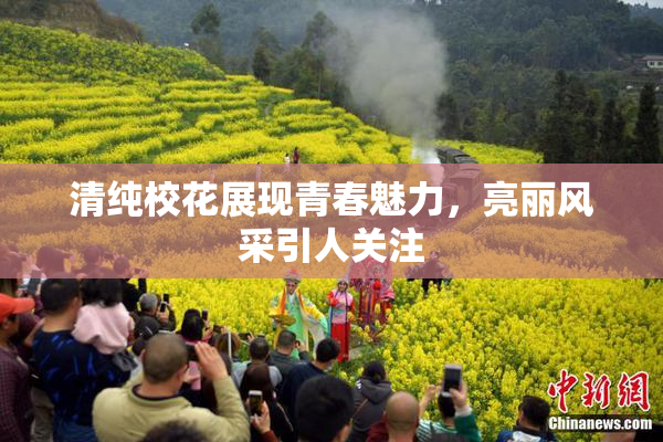 清纯校花展现青春魅力，亮丽风采引人关注