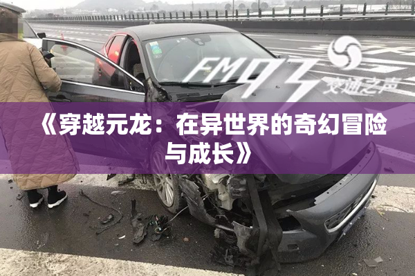 《穿越元龙：在异世界的奇幻冒险与成长》