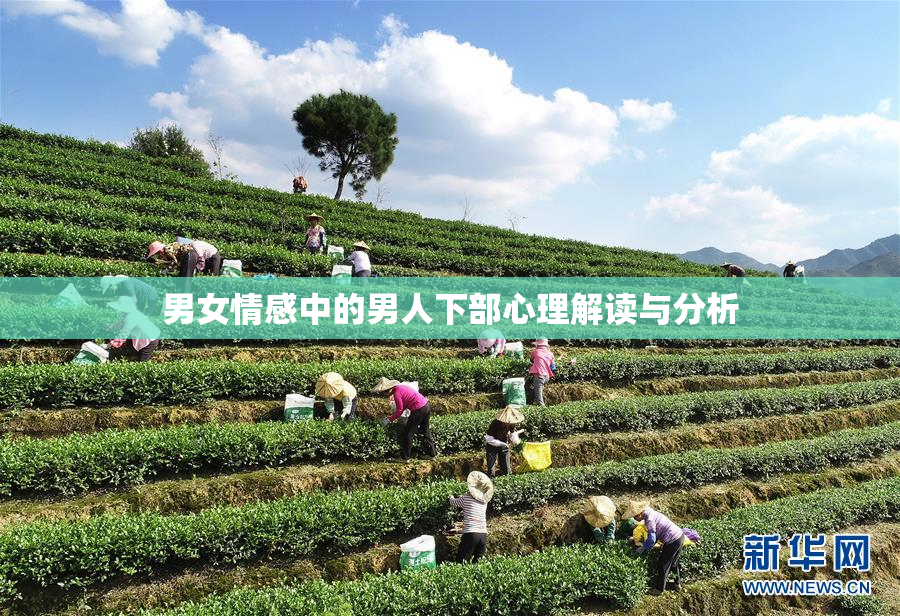 男女情感中的男人下部心理解读与分析