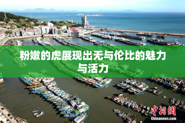 粉嫩的虎展现出无与伦比的魅力与活力