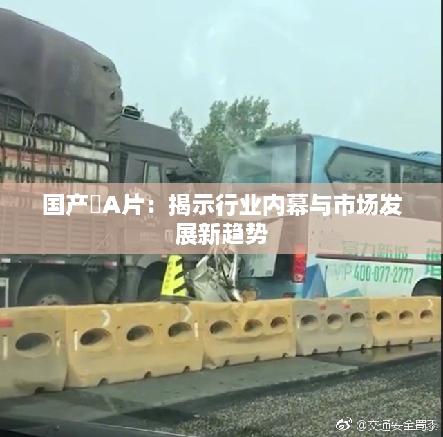 国产婬A片：揭示行业内幕与市场发展新趋势