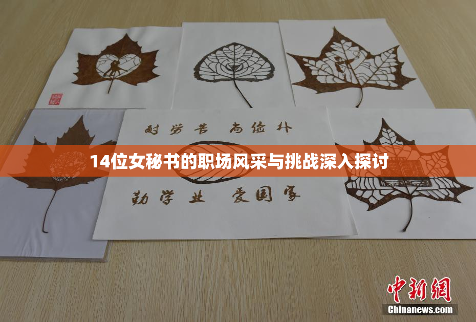 14位女秘书的职场风采与挑战深入探讨