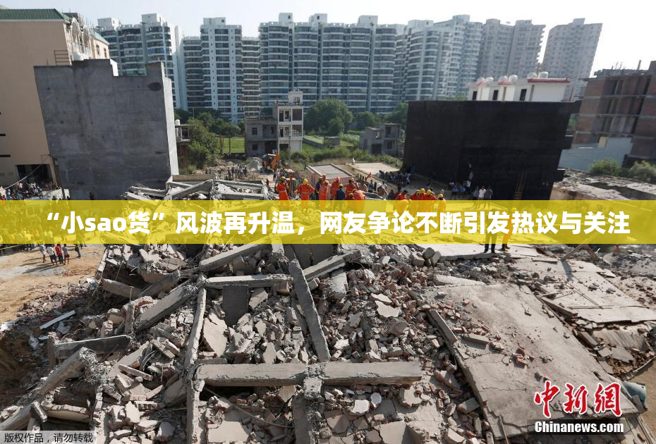 “小sao货”风波再升温，网友争论不断引发热议与关注