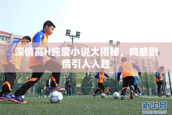 深情高H纯爱小说大揭秘，肉感剧情引人入胜