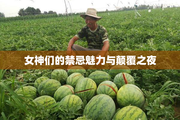 女神们的禁忌魅力与颠覆之夜
