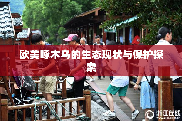 欧美啄木乌的生态现状与保护探索