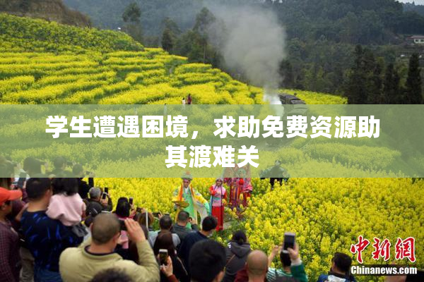 学生遭遇困境，求助免费资源助其渡难关