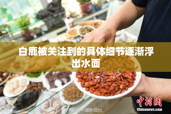 白鹿被关注到的具体细节逐渐浮出水面