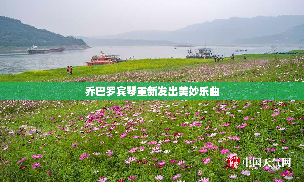 乔巴罗宾琴重新发出美妙乐曲