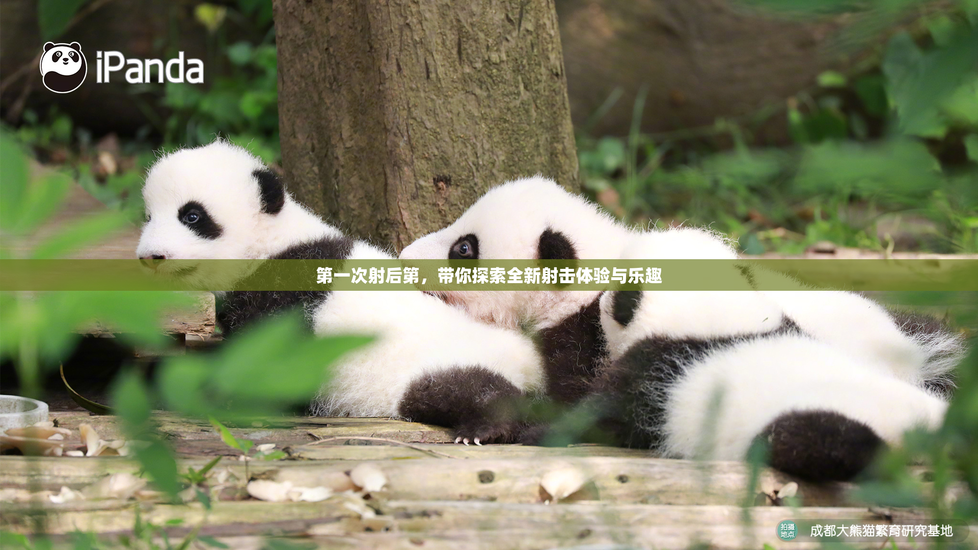 第一次射后第，带你探索全新射击体验与乐趣