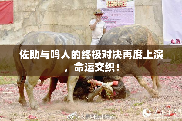 佐助与鸣人的终极对决再度上演，命运交织！