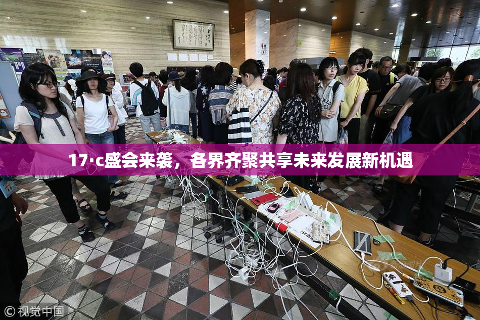 17·c盛会来袭，各界齐聚共享未来发展新机遇