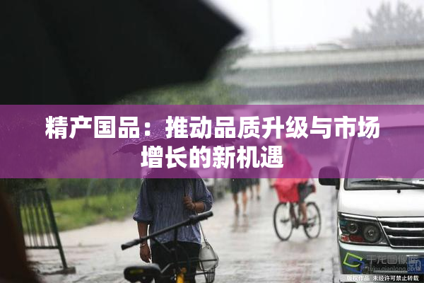 精产国品：推动品质升级与市场增长的新机遇