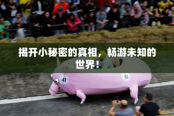 揭开小秘密的真相，畅游未知的世界！