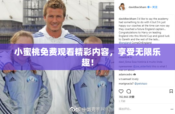 小蜜桃免费观看精彩内容，享受无限乐趣！