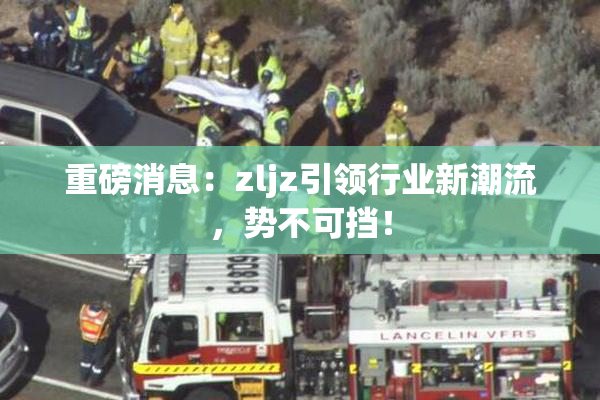 重磅消息：zljz引领行业新潮流，势不可挡！