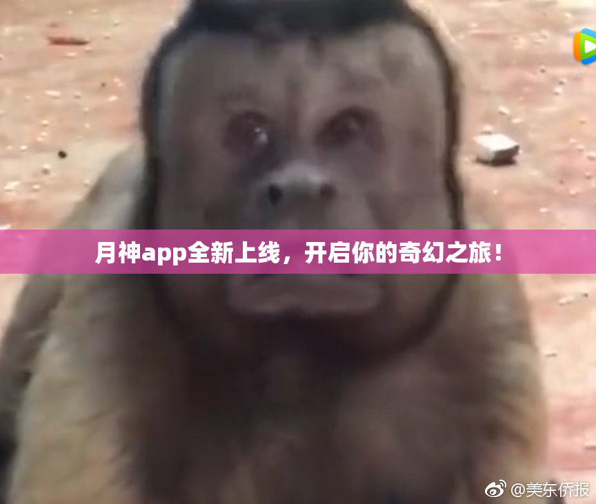 月神app全新上线，开启你的奇幻之旅！