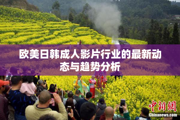欧美日韩成人影片行业的最新动态与趋势分析