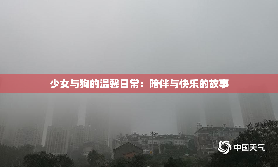 少女与狗的温馨日常：陪伴与快乐的故事