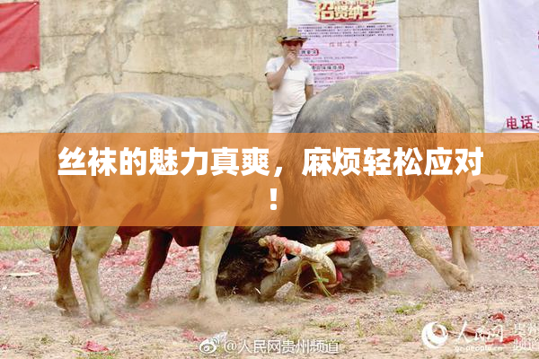 丝袜的魅力真爽，麻烦轻松应对！