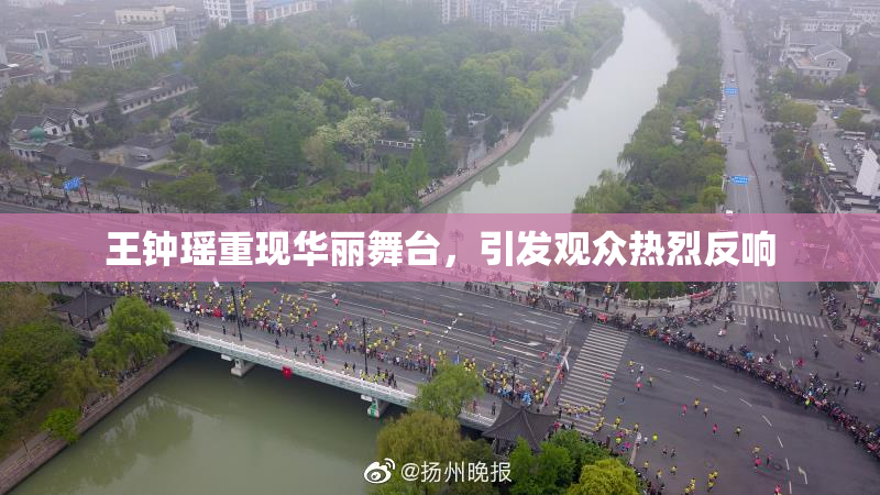 王钟瑶重现华丽舞台，引发观众热烈反响