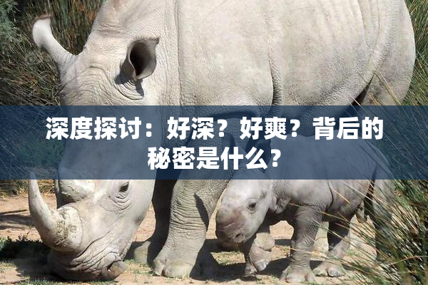 深度探讨：好深？好爽？背后的秘密是什么？