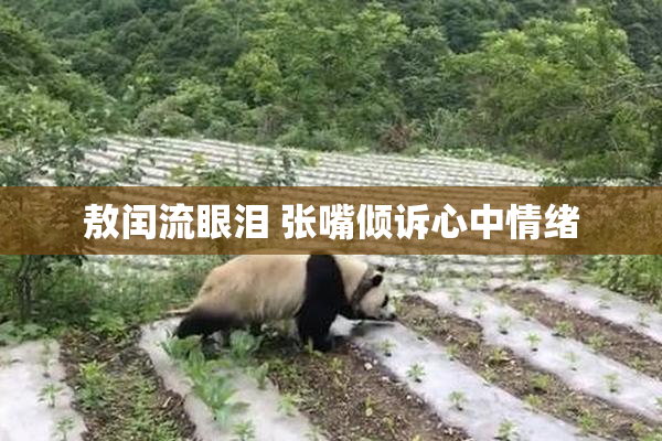 敖闰流眼泪 张嘴倾诉心中情绪