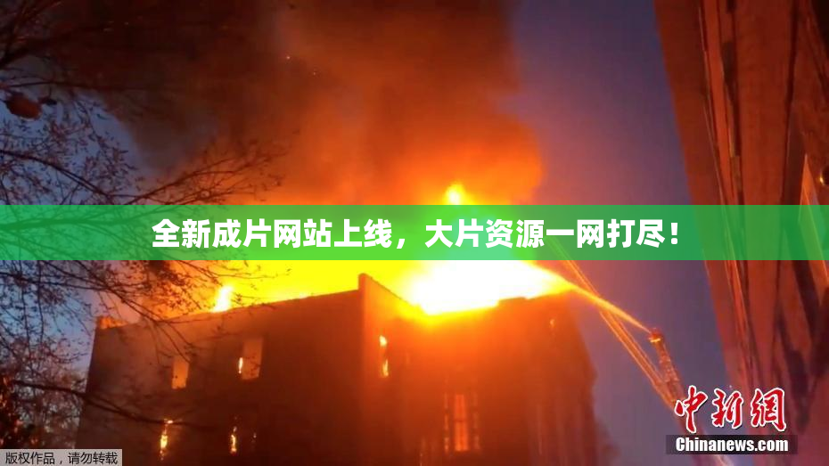 全新成片网站上线，大片资源一网打尽！